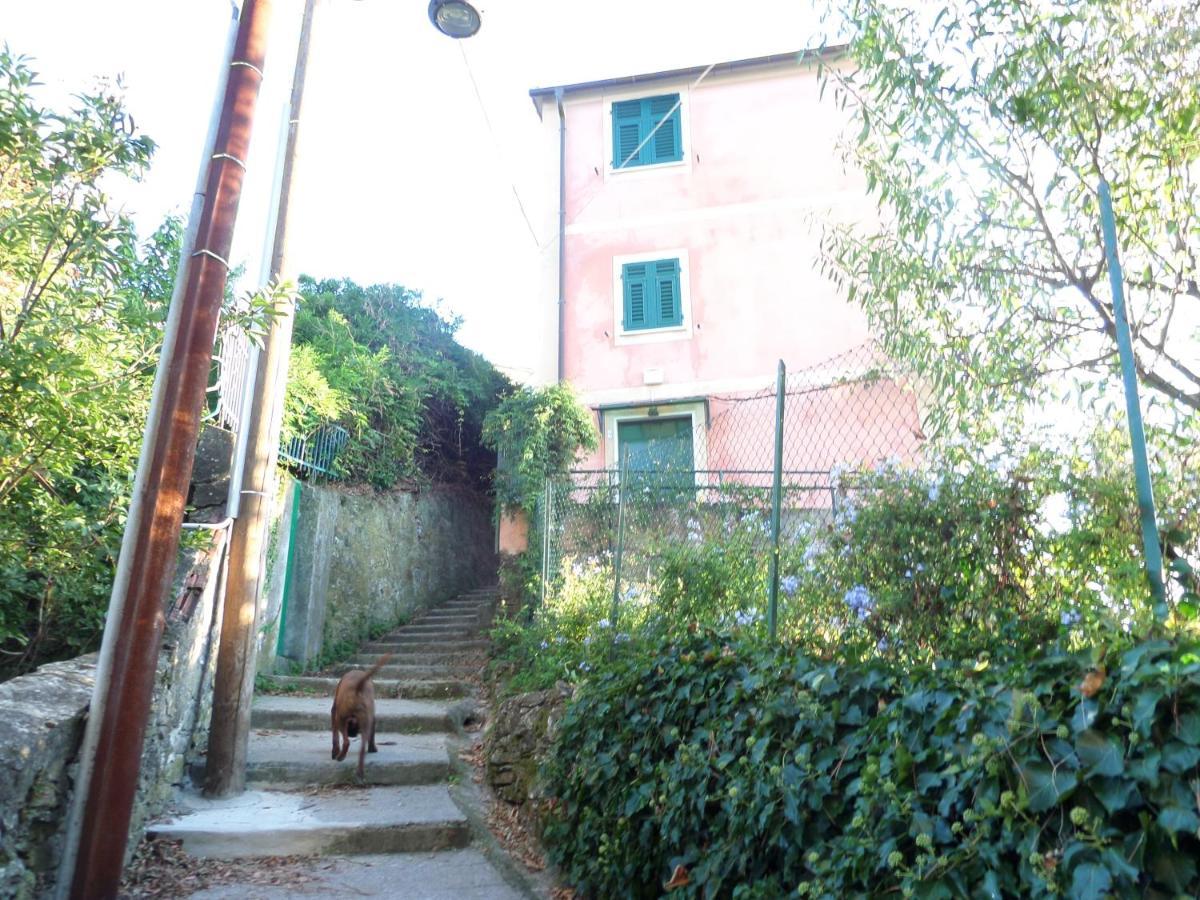 סן רוקו Portofino Mountain Unique Love Nest מראה חיצוני תמונה